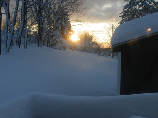 Storm Backyard